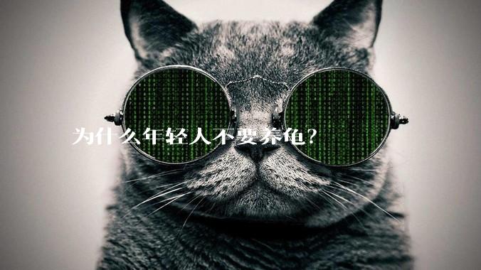 为什么年轻人不要养龟？