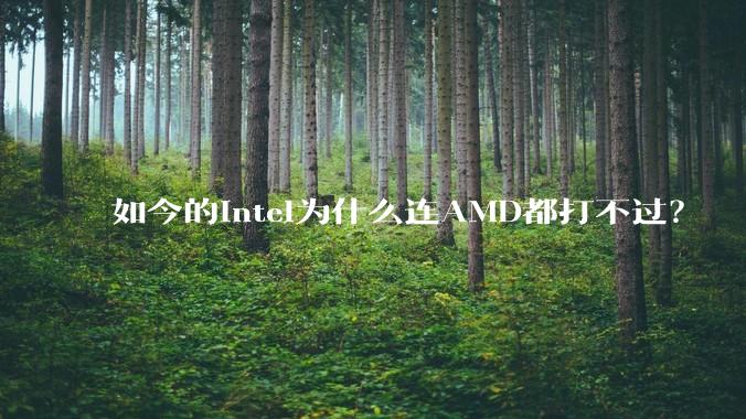 如今的Intel为什么连AMD都打不过？