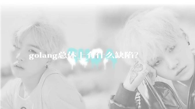 golang总体上有什么缺陷？